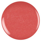 OPI - Infinite Shine Combo - Base, Top & My Address Is - Salon Quality
